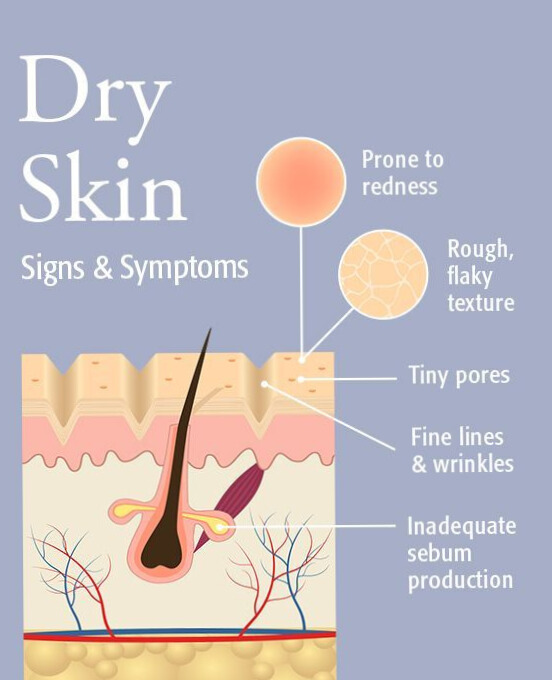 best face wash and moisturizer for dry skin